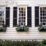 These 30 Days | Get to Know Charleston