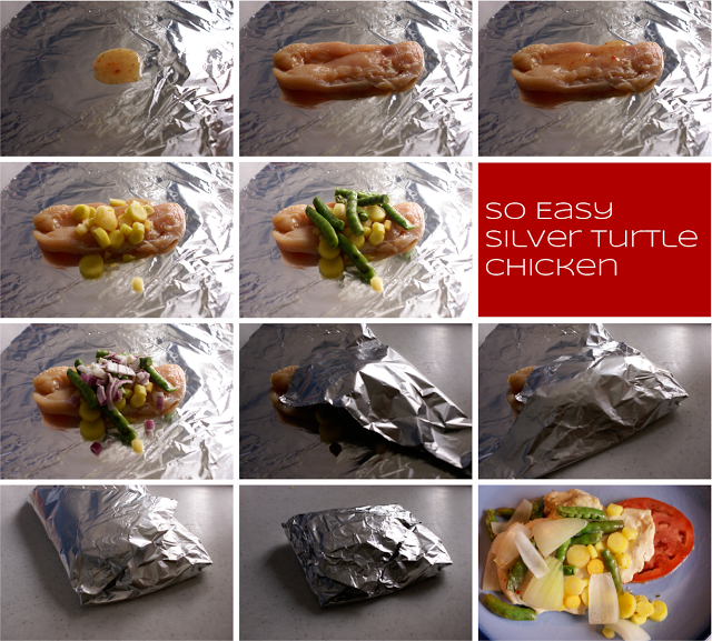 SilverTurtle So So Easy Silver Turtle Chicken