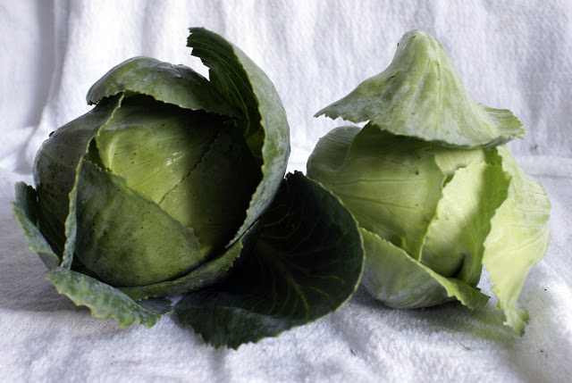 20120424 0040cropped CSA Summary | 4