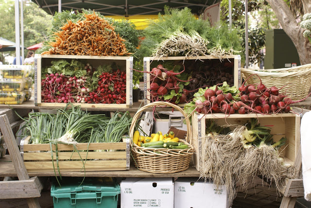  Lessons Learned | Eat Local