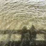 Because sometimes you just need to see the water. #chs #charleston #shadow