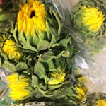 Remind me why I didn't put these in my shopping cart.  I think I need them on my desk. #sunflower #y...