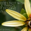 Little Things Day 22 | Motivational from a Belgian Proverb