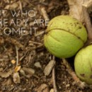 Freelance Day 31 | Steven Pressfield and Lessons Learned