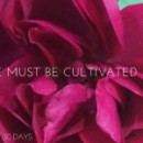 Gratitude Day 31 | Lessons in Cultivating Gratitude