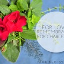 For Remembrance, Love, Comfort, Charleston