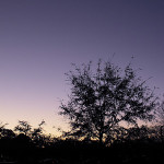 Twenty-eight: Sunset