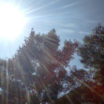 Weekly Photograph: Light