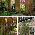 New Photos to Share (Unitarian Graveyard)