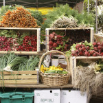Lessons Learned | Eat Local