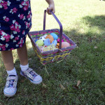 Weekly Photograph: Pastel