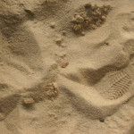 Sandbox Love