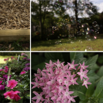 Lessons Learned | Backyard Makeover