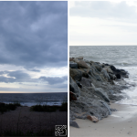 Charleston Beaches
