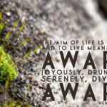 Be Positive Day 12 | Joyously, Drunkenly, Serenely, Divinely Aware
