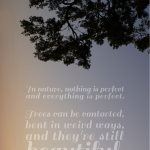 Be Positive Day 19 | Life Pulping