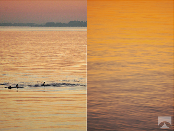 Sunrise Over Charleston Harbor 2 | In The Next 30 Days