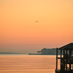 Sunday Photography | No. 1