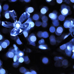 Sunday Photography No. 6