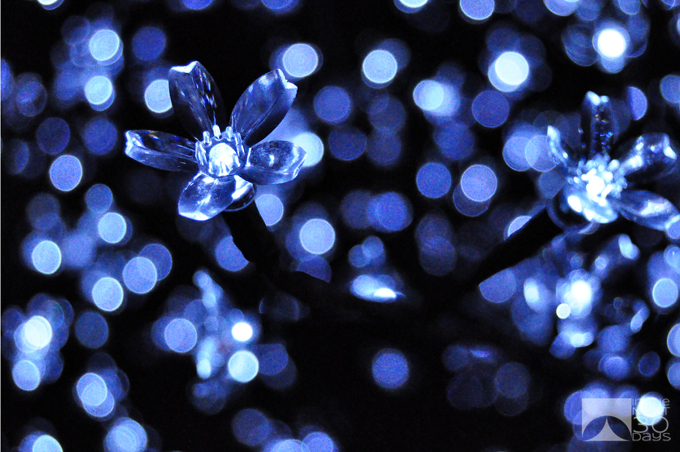 Holiday Bokeh | In The Next 30 Days