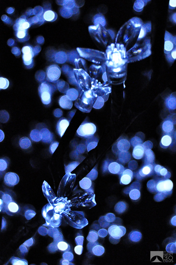 Holiday Bokeh | In The Next 30 Days