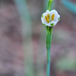 Sunday Photography No. 10