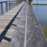 Gluten Free Day 29 | A Healthy Balance
