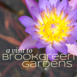 Be Outside Day 13 | Brookgreen Gardens