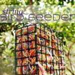 DIY Friday | String Bird Feeder