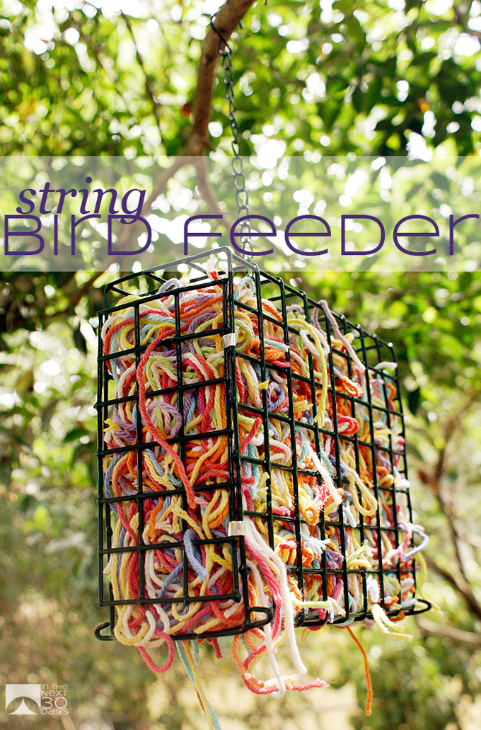 String Bird Feeder 1