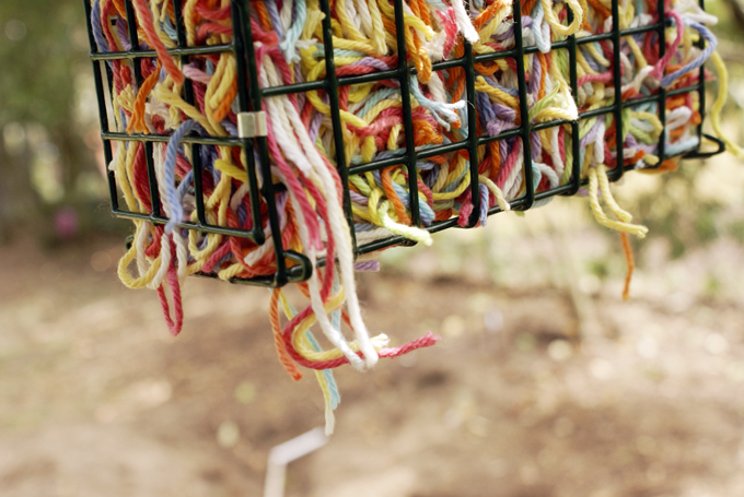 String Bird Feeder 4
