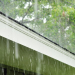 Be Outside Day 7 | Beautiful Like a Tropical Storm