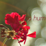 Meditation Day 19 | So Hum Mantra