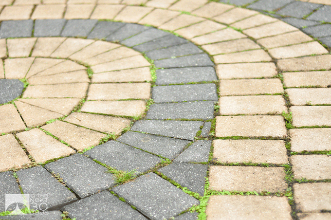 Walking-Meditation-1