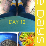 The Days No. 18 | So Many Choices