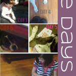 The Days No. 20 | Make Yourself At Home, Molly
