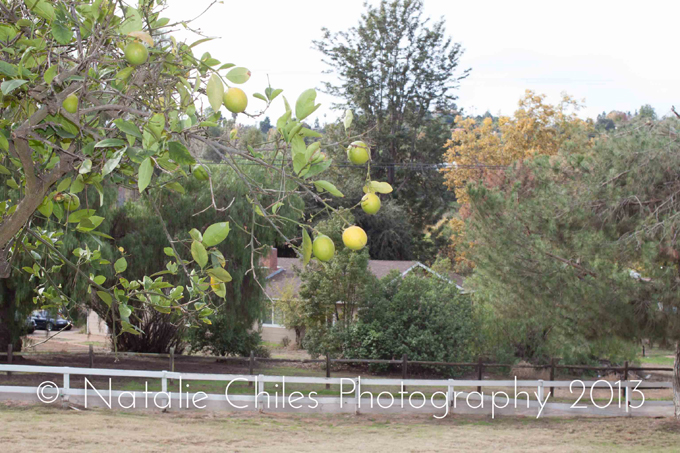 How To Take Great Photos from Professional Photographer Natalie Chiles | In The Next 30 Days