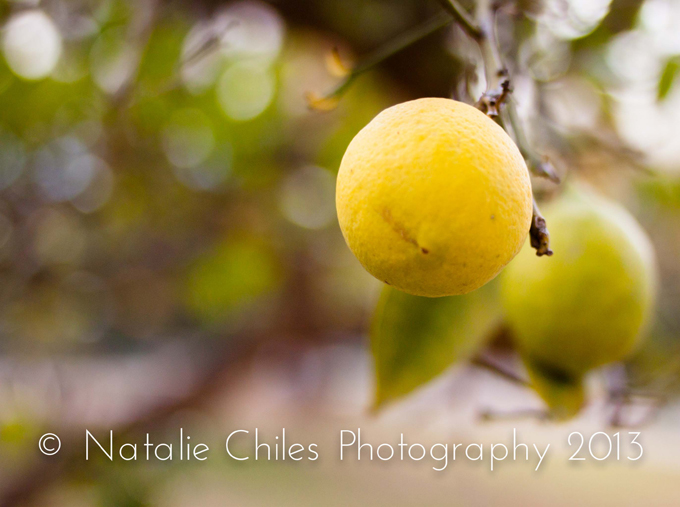 How To Take Great Photos from Professional Photographer Natalie Chiles | In The Next 30 Days