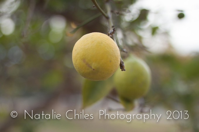 How To Take Great Photos from Professional Photographer Natalie Chiles | In The Next 30 Days