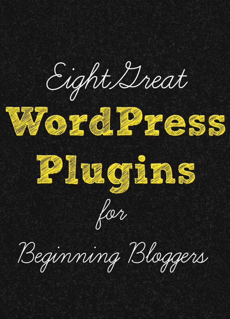 8 Great WordPress Plugins for Beginning Bloggers from Jess at Chaos & Love | In The Next 30 Days