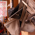 30 Day Challenges Day 27 | Get Out of Your Comfort Zone