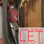 30 Day Challenges Day 10 | Let Passion Drive