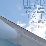 30 Day Challenges Day 9 | Motivational from T.S. Eliot