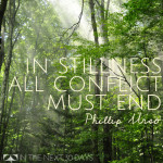 Yoga Day 11 | Motivational from Phillip Urso