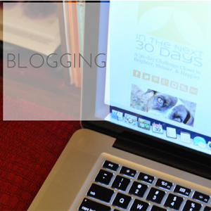 Check out my #30Day challenge to try something new and learn the details of blogging and how to do it successfully. | In The Next 30 Days