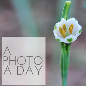 Check out my #30Day challenge to try something by taking a photo every day. | In The Next 30 Days