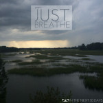 Yoga Day 24 | Just Breathe