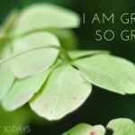 Little Things Day 19 | The Resurfacing Gratitude