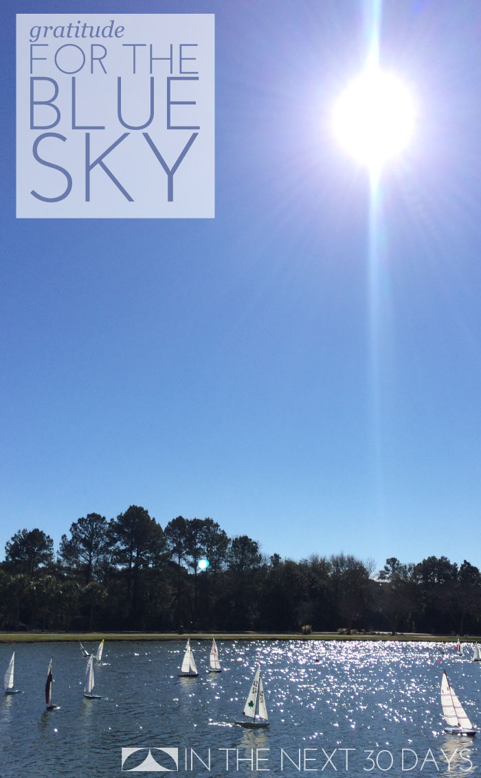 Thank you for the blue sky. | In The Next 30 Days