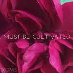 Gratitude Day 31 | Lessons in Cultivating Gratitude